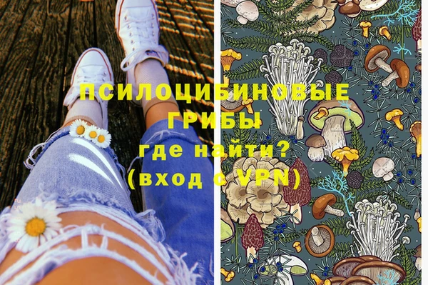 спайс Алексин