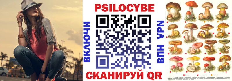 KRAKEN вход  купить наркотики цена  Среднеколымск  Псилоцибиновые грибы Psilocybe 